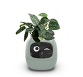 Smart Planter